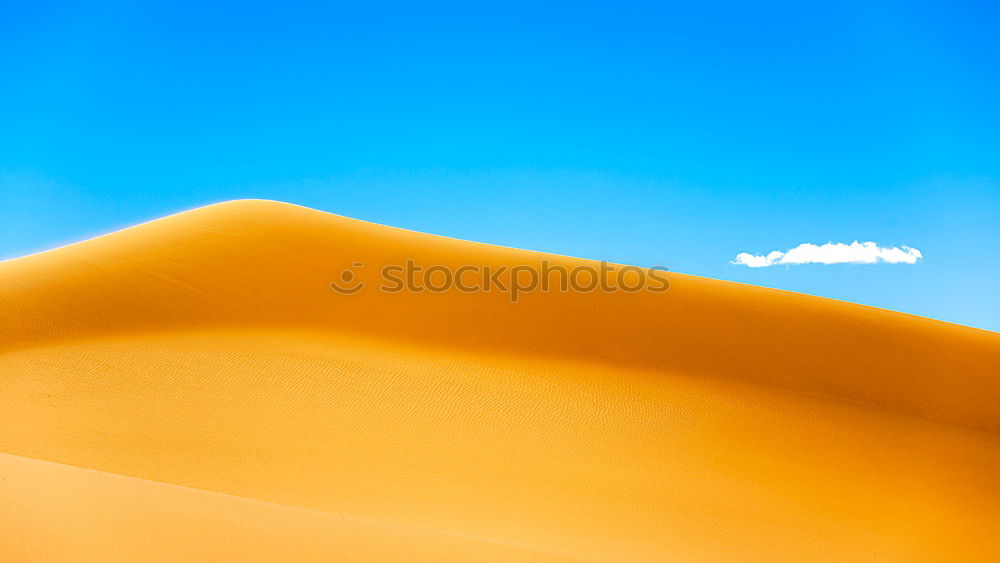 Image, Stock Photo Sandstorm in Sossusvlei #1