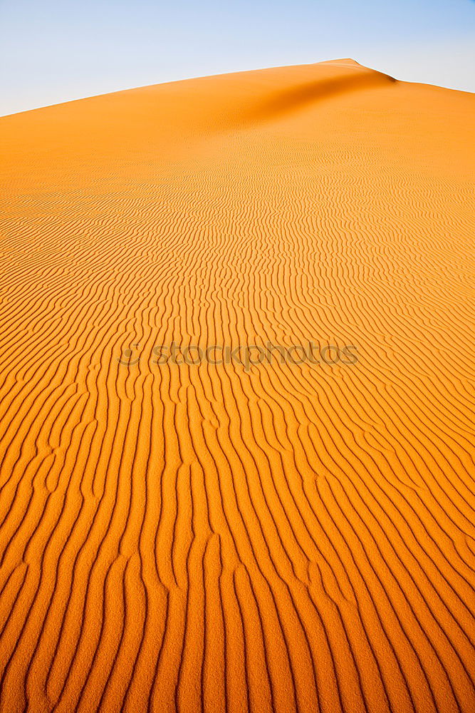 Similar – Dunes on desert sand Sand