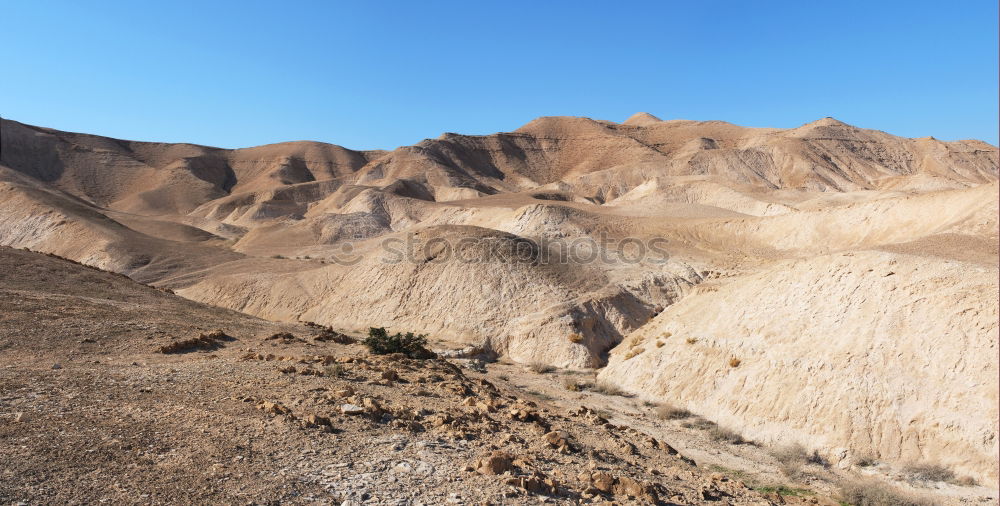 Similar – Image, Stock Photo Desert Ride III