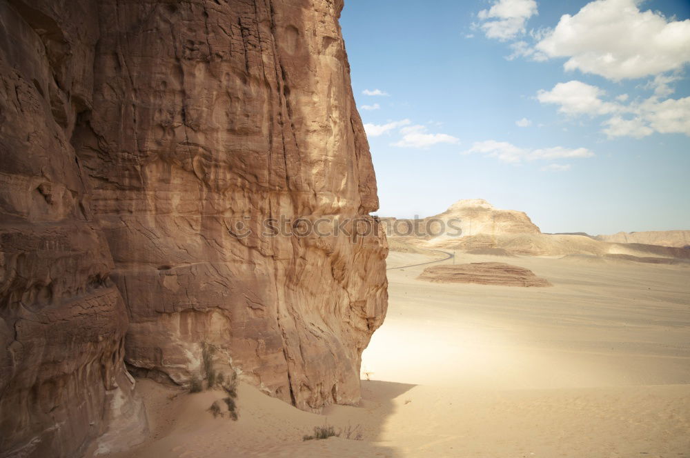 Hiker in the desert.