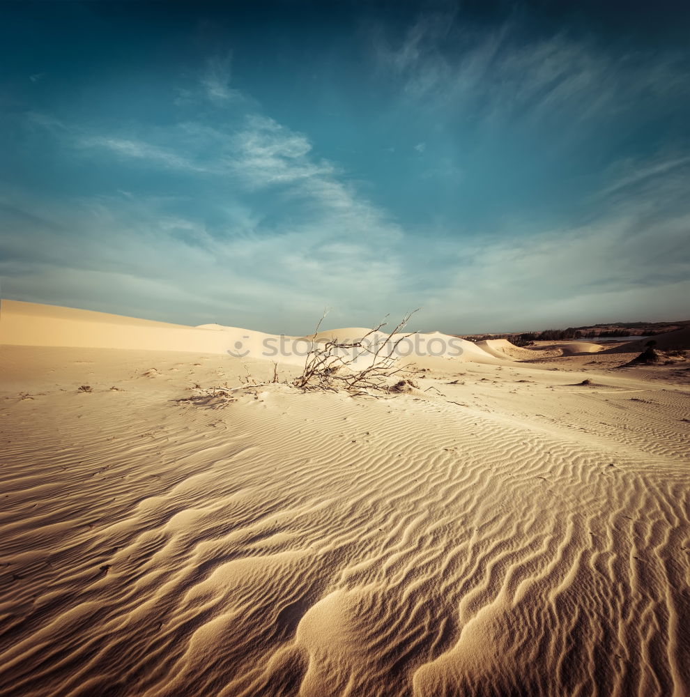 Similar – Image, Stock Photo Mui Ne Sand Dune