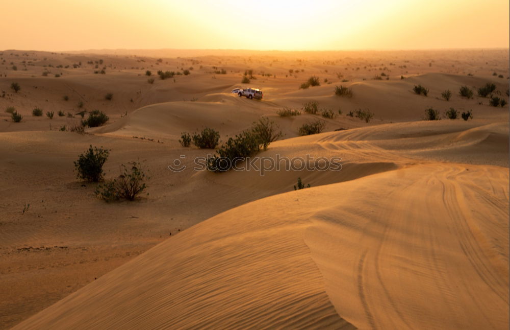 Similar – Image, Stock Photo desert landscape