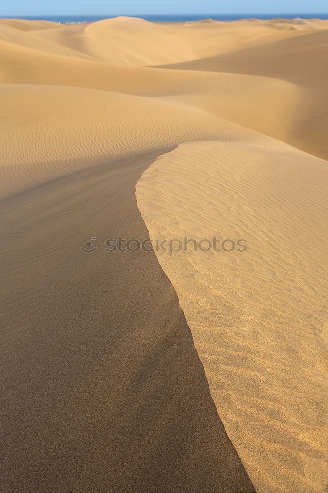 Similar – Sand as far as the eye can see