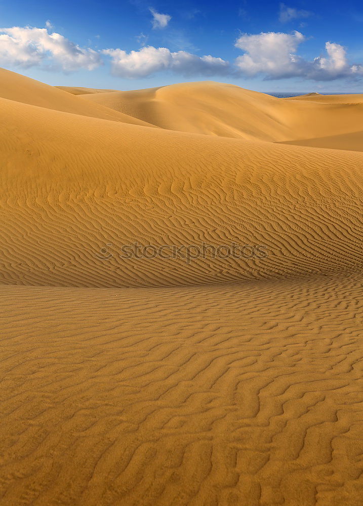 Similar – Sand dune in sahara desert, Africa.