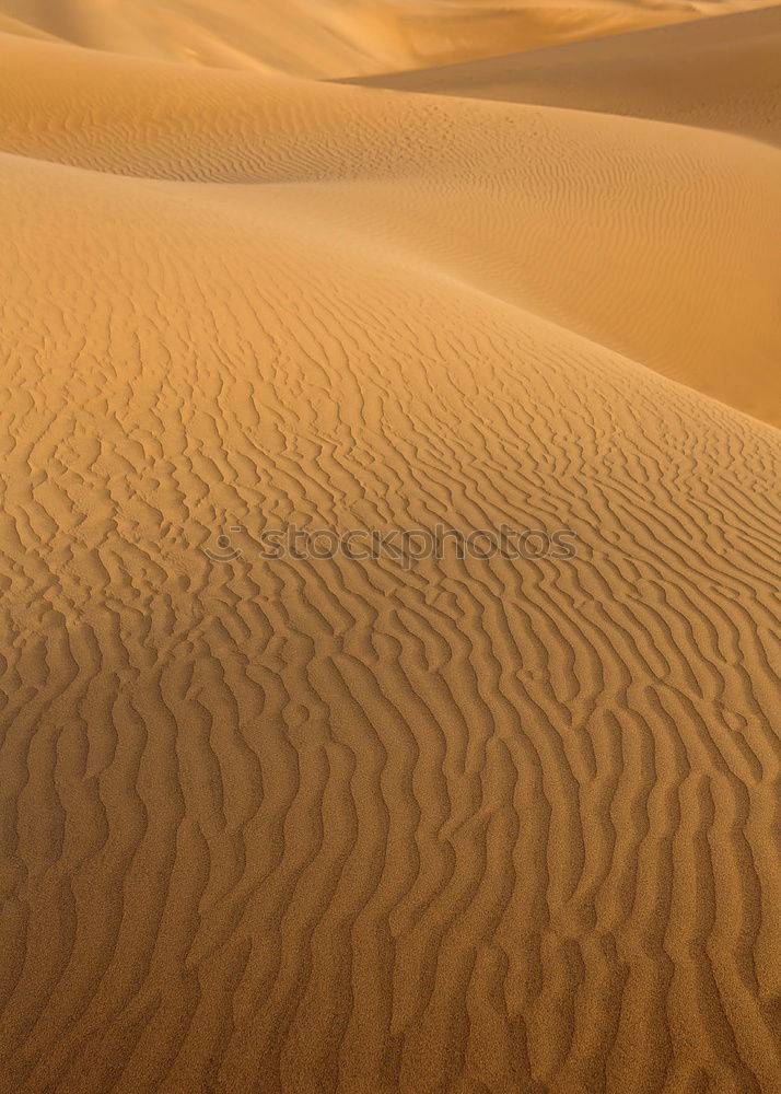 Similar – Image, Stock Photo sand dune