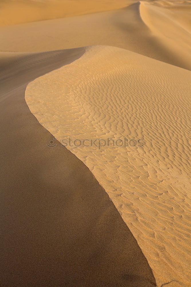 Similar – Image, Stock Photo sand dune