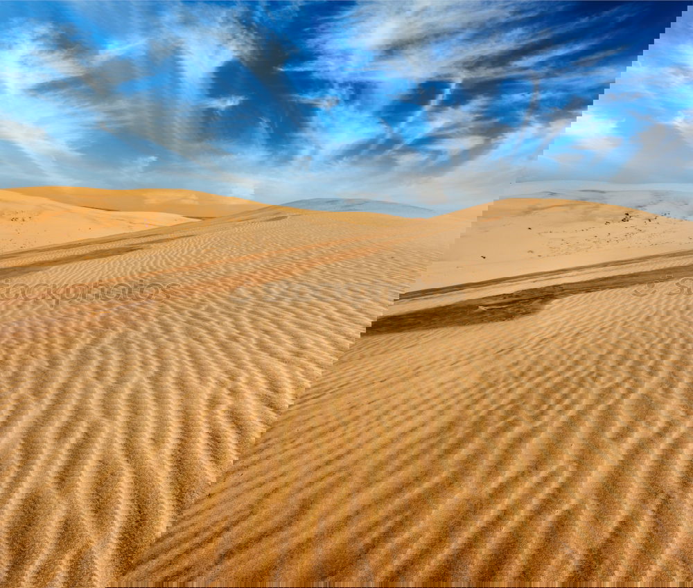 Image, Stock Photo in oman old desert rub al khali the empty