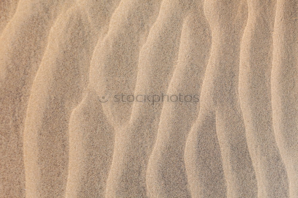 Similar – beach shapes Sand Beach