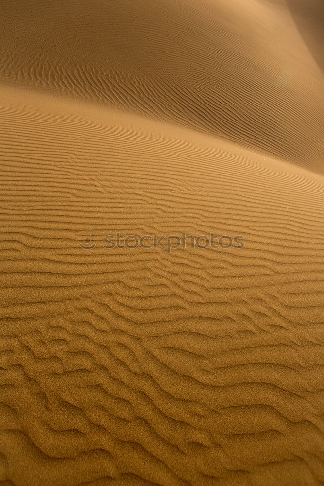 Similar – Image, Stock Photo sand dune