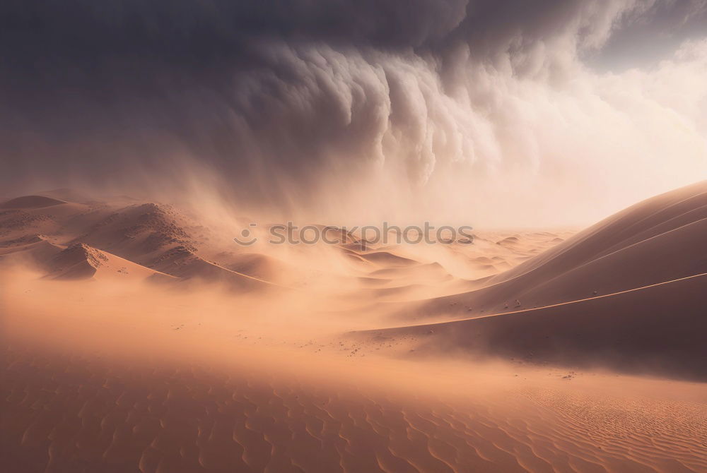 Similar – Image, Stock Photo Mar de arena Landscape