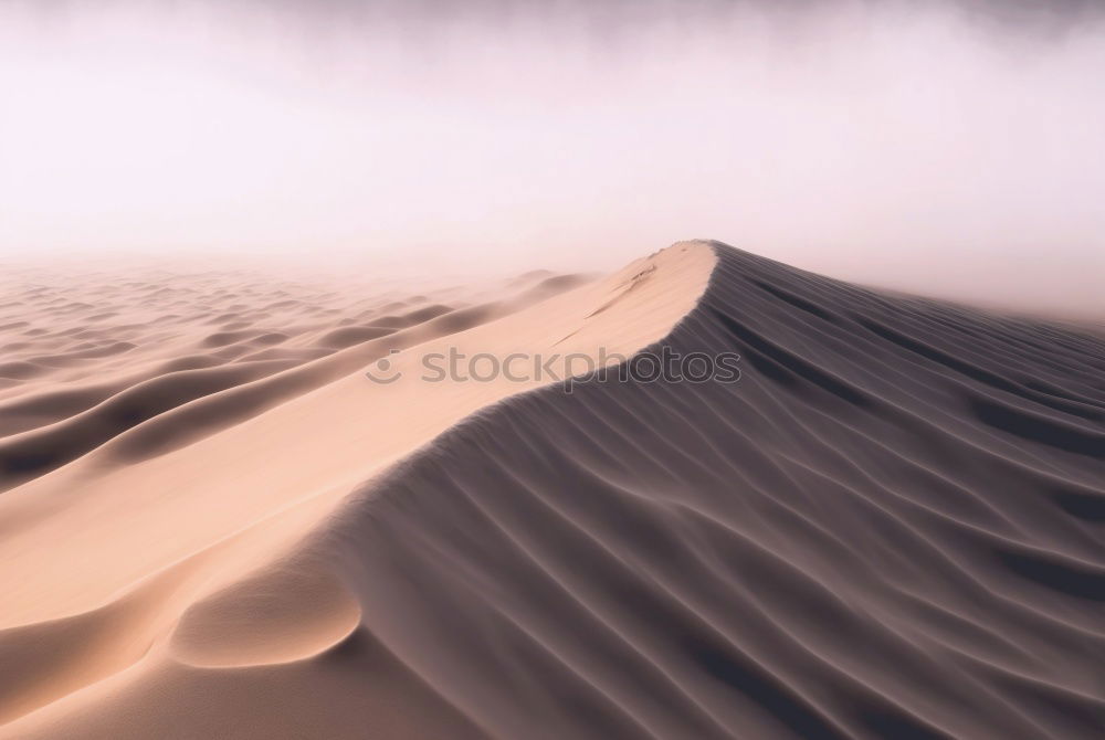 Similar – Sand wave. Environment