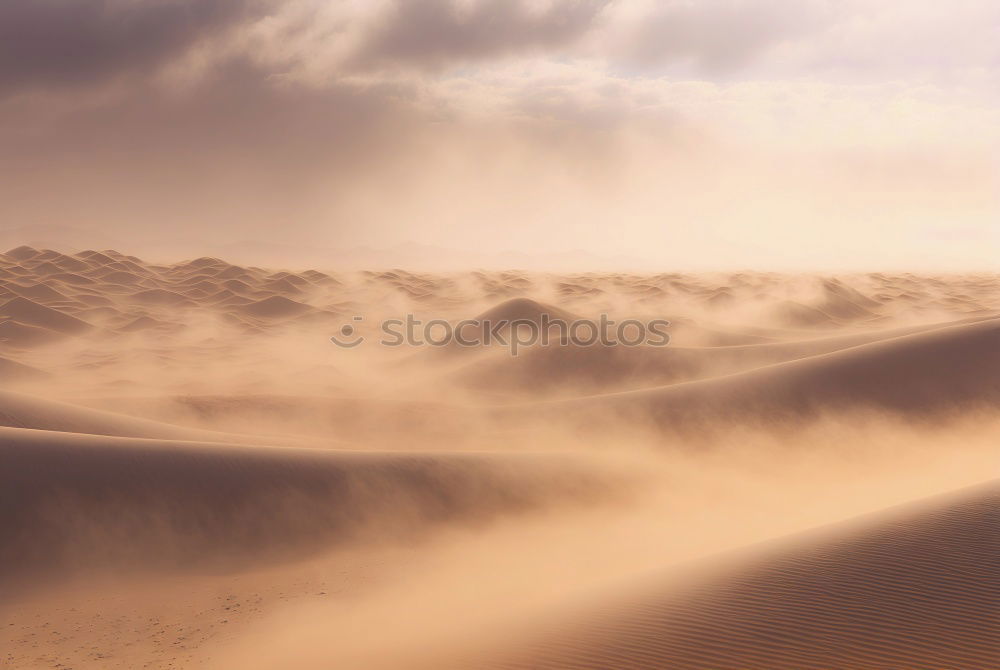 Similar – Desert (8/10) Sand Dune