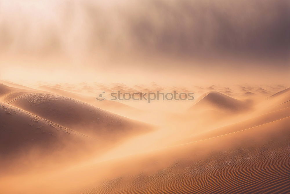 Similar – Image, Stock Photo Sandstorm in Sossusvlei #1