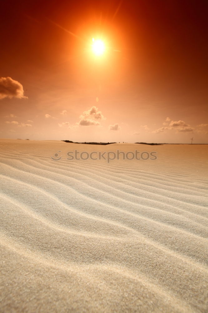 Similar – Wattenmeer Erholung ruhig