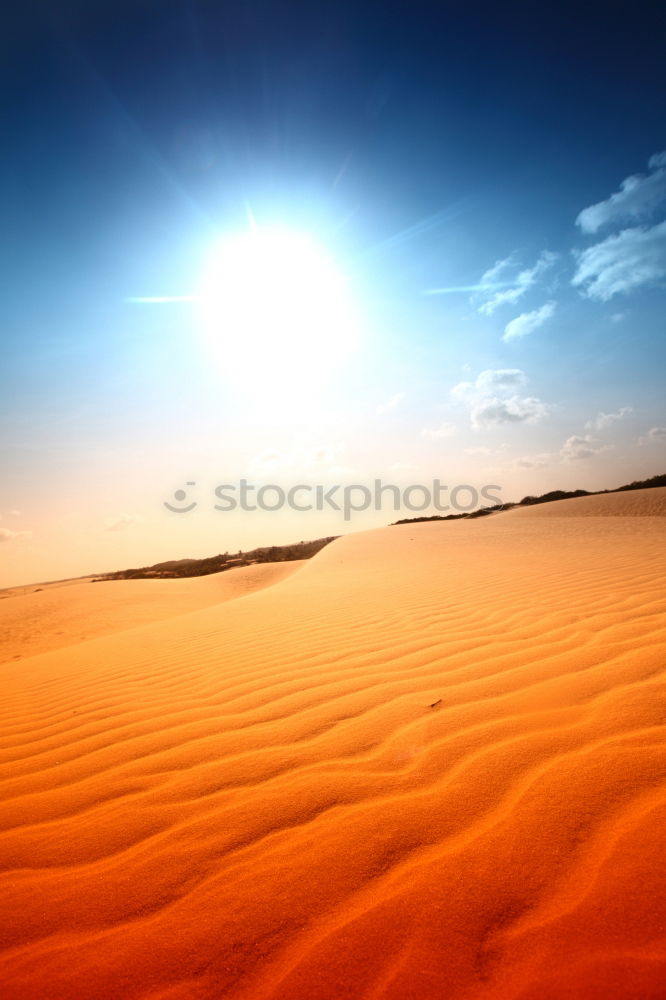 Similar – Spuren im Sand Wüste