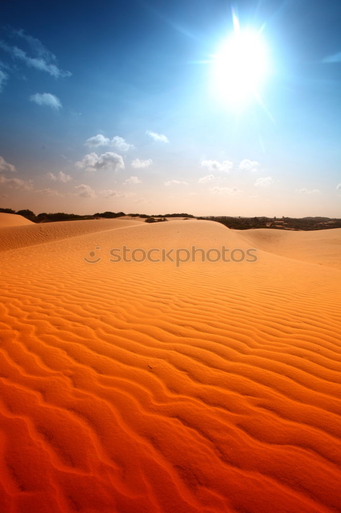 Similar – Spuren im Sand Wüste