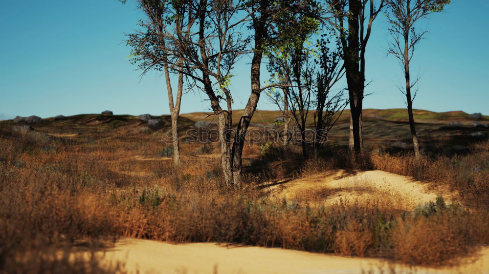 Similar – Image, Stock Photo Against the wind Nature