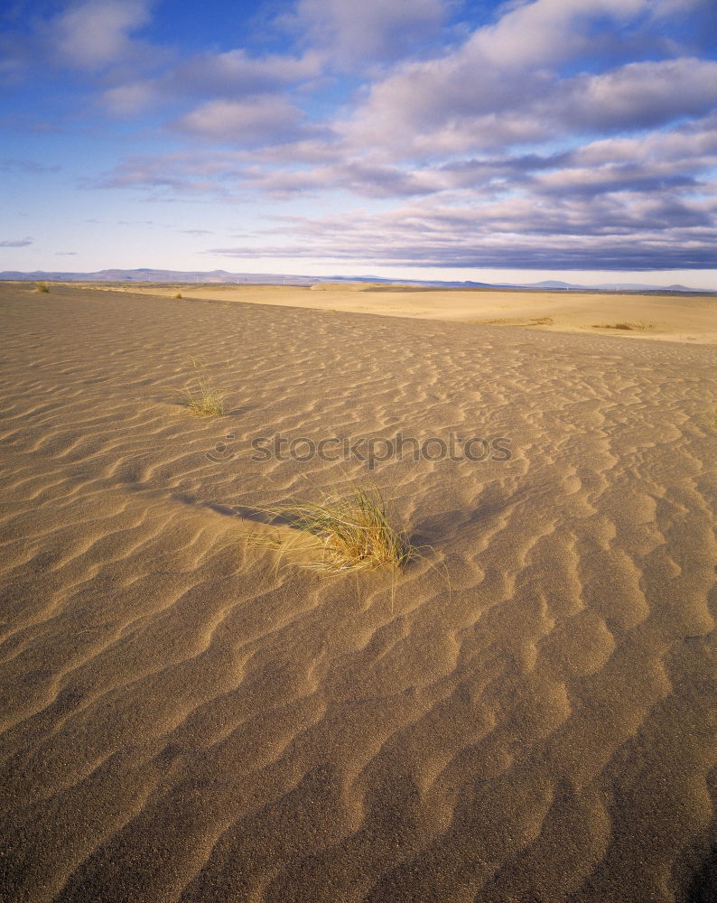 Similar – Image, Stock Photo Trash! Belgian flotsam and jetsam