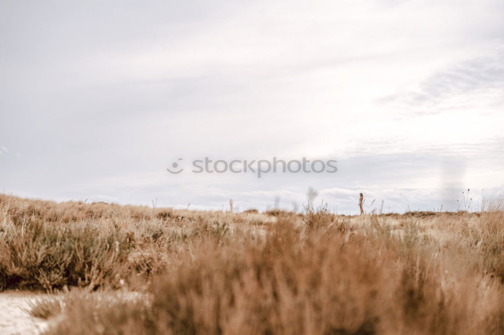 Similar – Image, Stock Photo Wind II Art Work of art