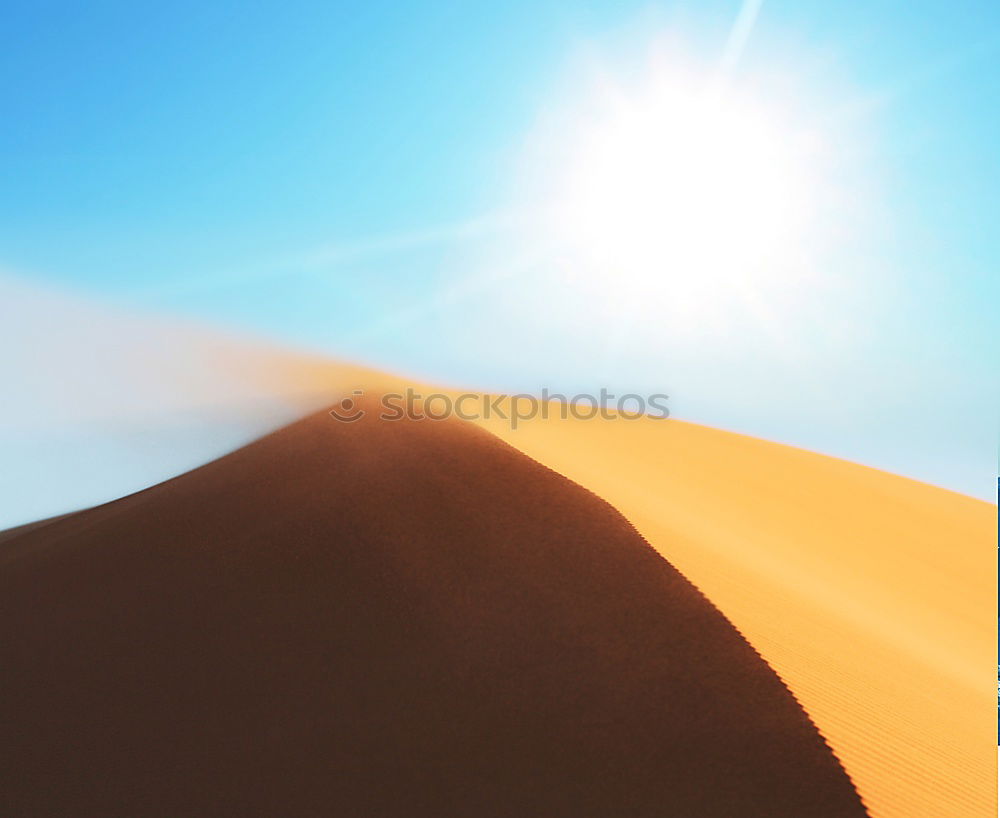 Similar – Straw hat on sand Sand Hat