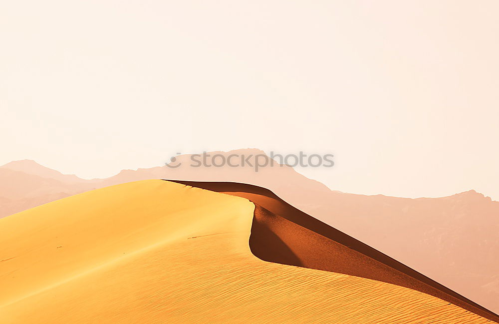 Similar – Walking on a dune shadow