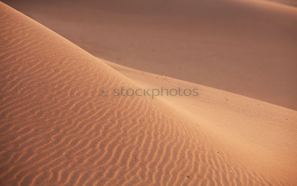 Similar – Sandgeflüster Düne Wüste