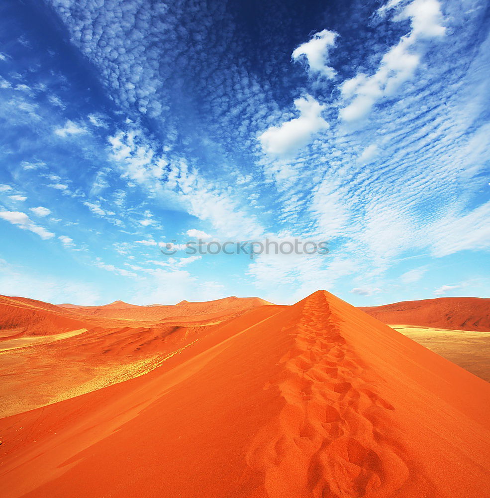 Similar – Image, Stock Photo desert tour Back 1