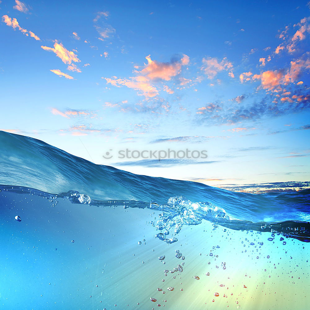 Similar – Image, Stock Photo Tierisch gut: Swan Lake