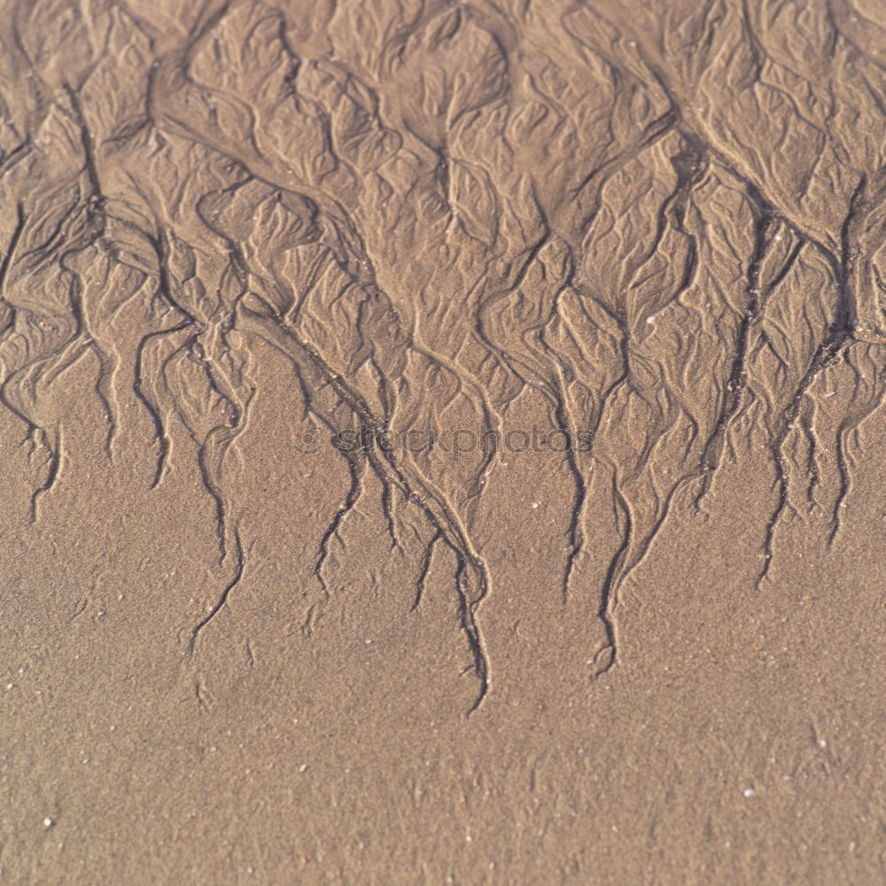 Similar – beach shapes Sand Beach