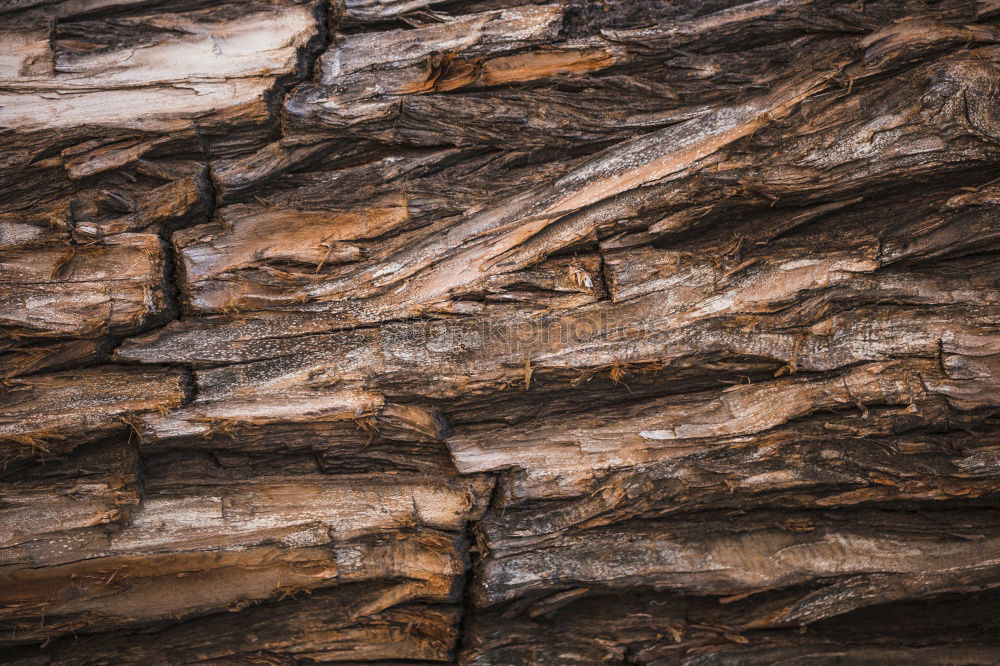 Similar – Image, Stock Photo pile of logs Agriculture