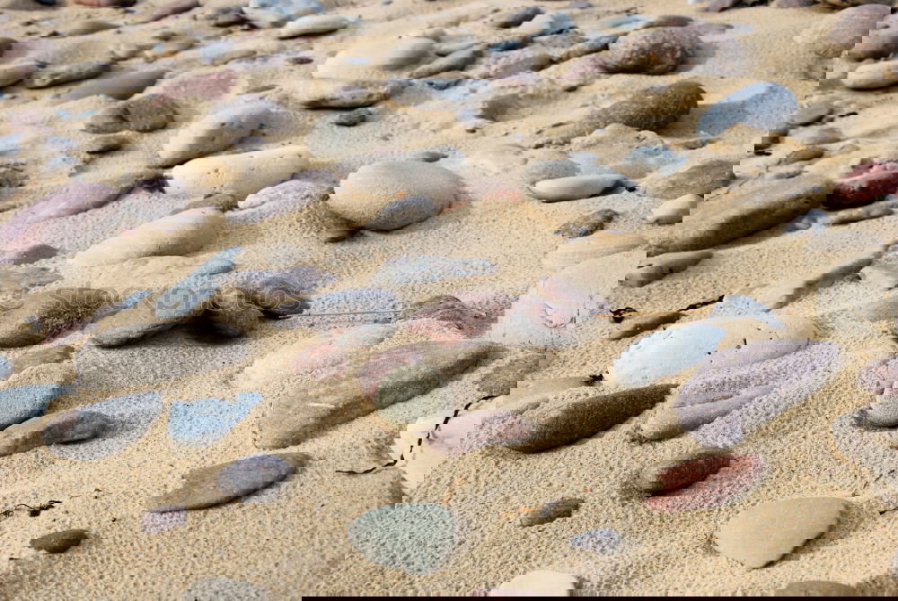 Image, Stock Photo Spiekeroog | Beach Treasures