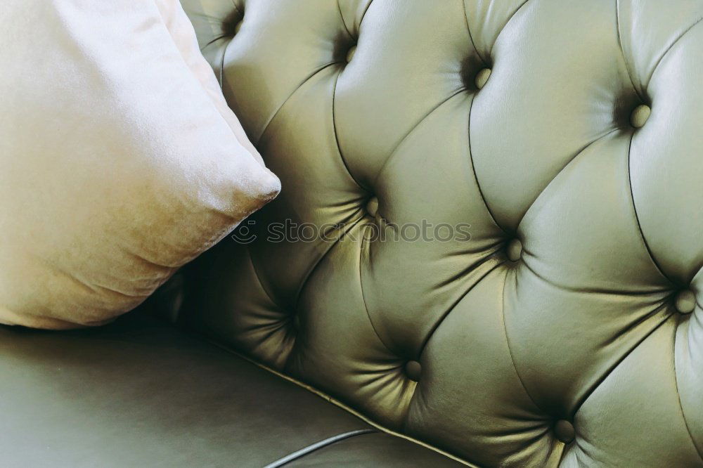 Similar – Freud 2006 2nd Sofa Yellow