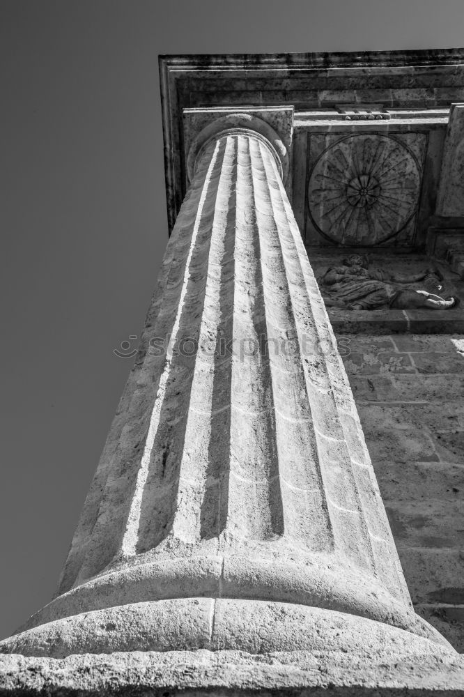 Similar – 2 birds Bird Venice Statue