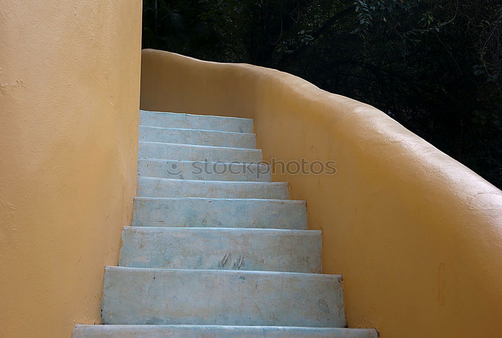 Similar – Image, Stock Photo Staircase in front of grate