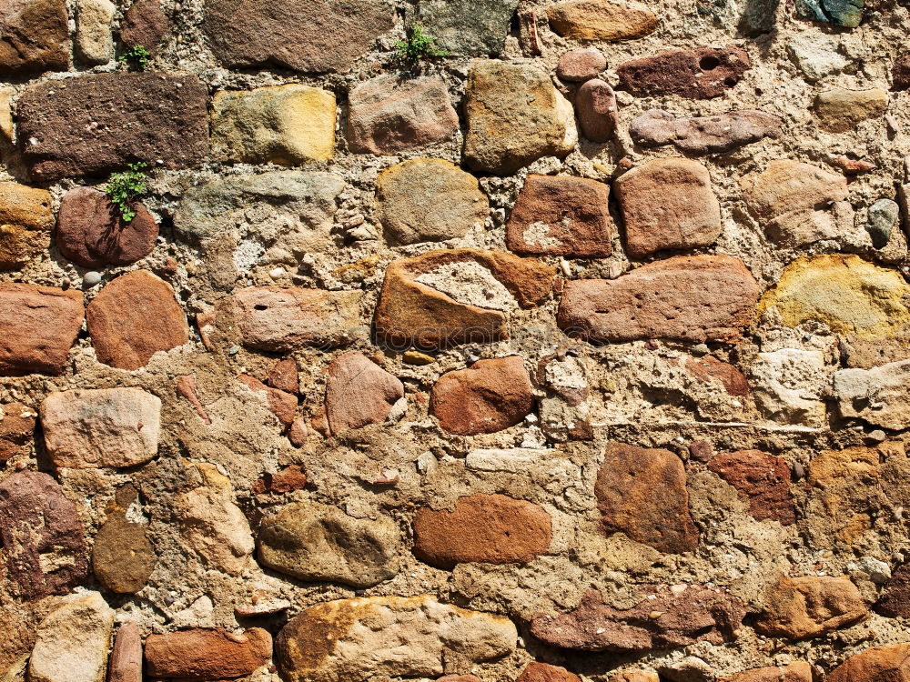 Similar – Stein für Stein Mauer Wand