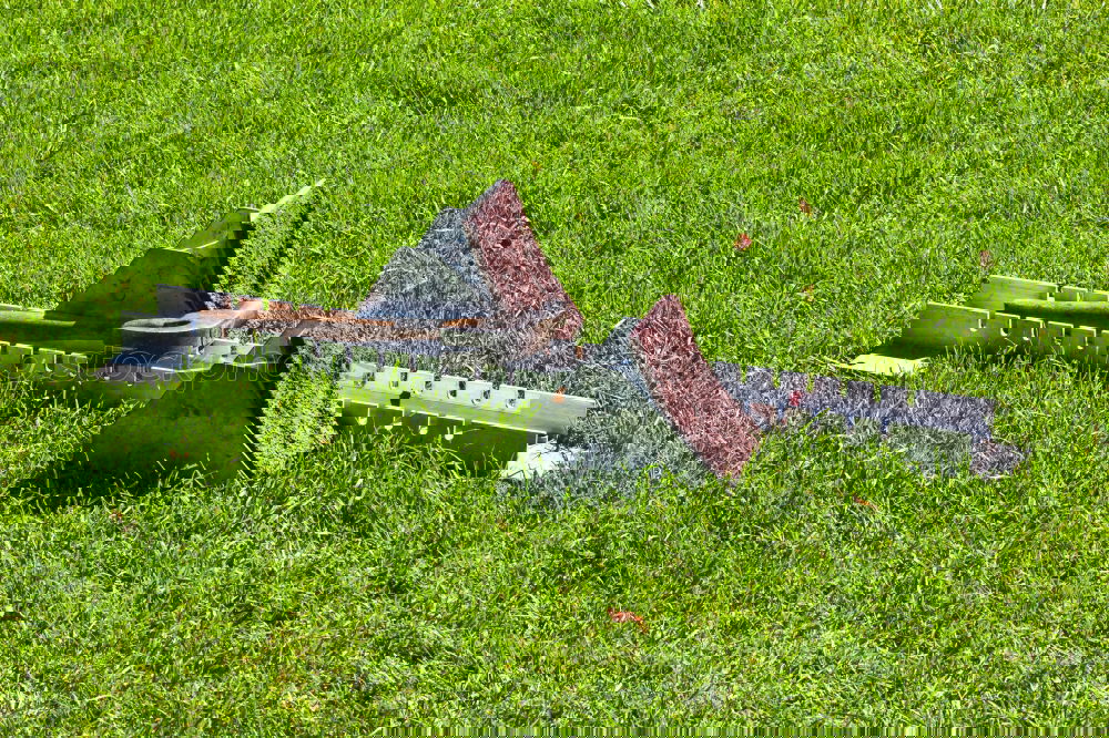 Similar – Foto Bild Dicker Brummer Propeller