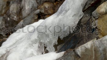 Similar – Image, Stock Photo icily Environment Nature