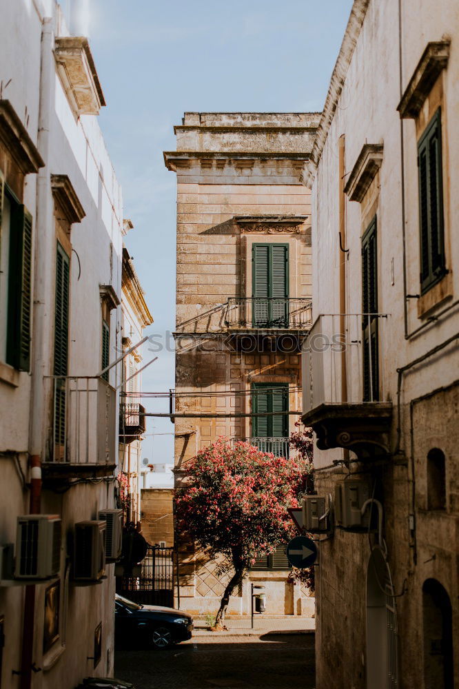 Similar – Image, Stock Photo Close-up detail of Rome city, Italy