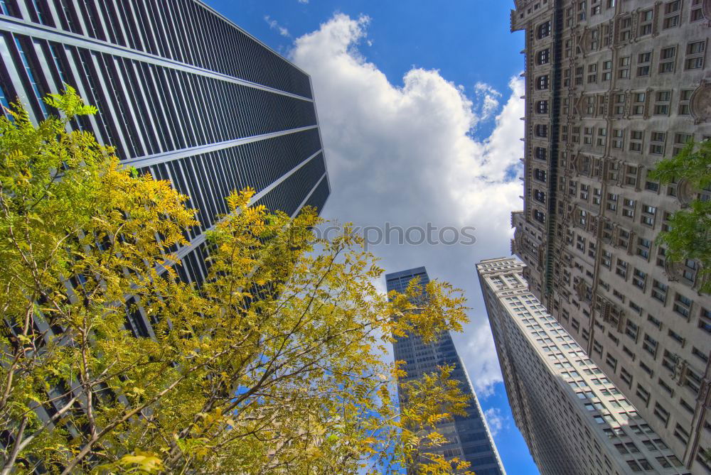 Similar – Vancouver Skyscrapers