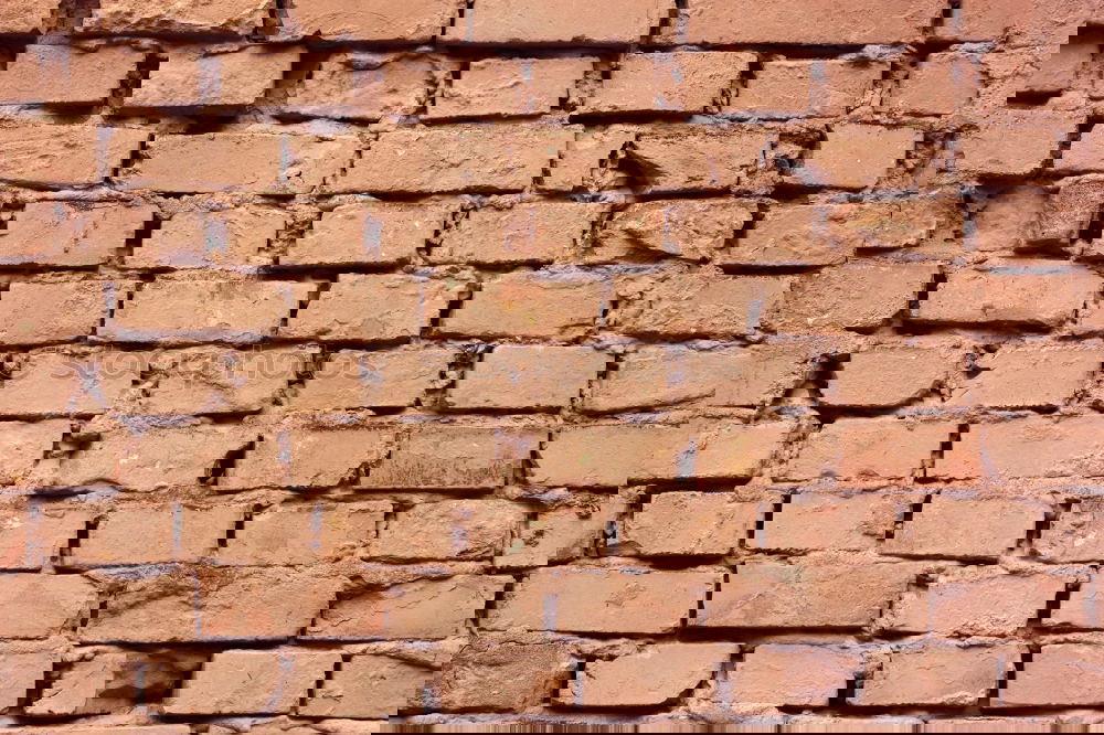 Similar – Image, Stock Photo breakthrough Stone Brick