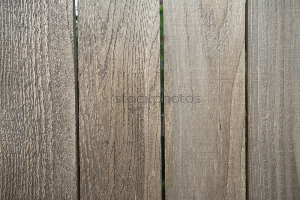 Similar – Image, Stock Photo Creative layout made of green leaves. Flat lay. Nature concept