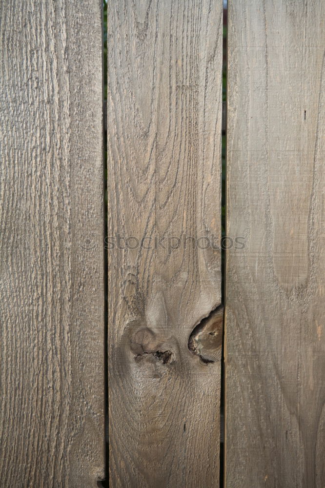 Doormat with decorative leaf