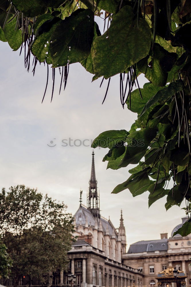 Similar – Image, Stock Photo Rooftop View Lifestyle