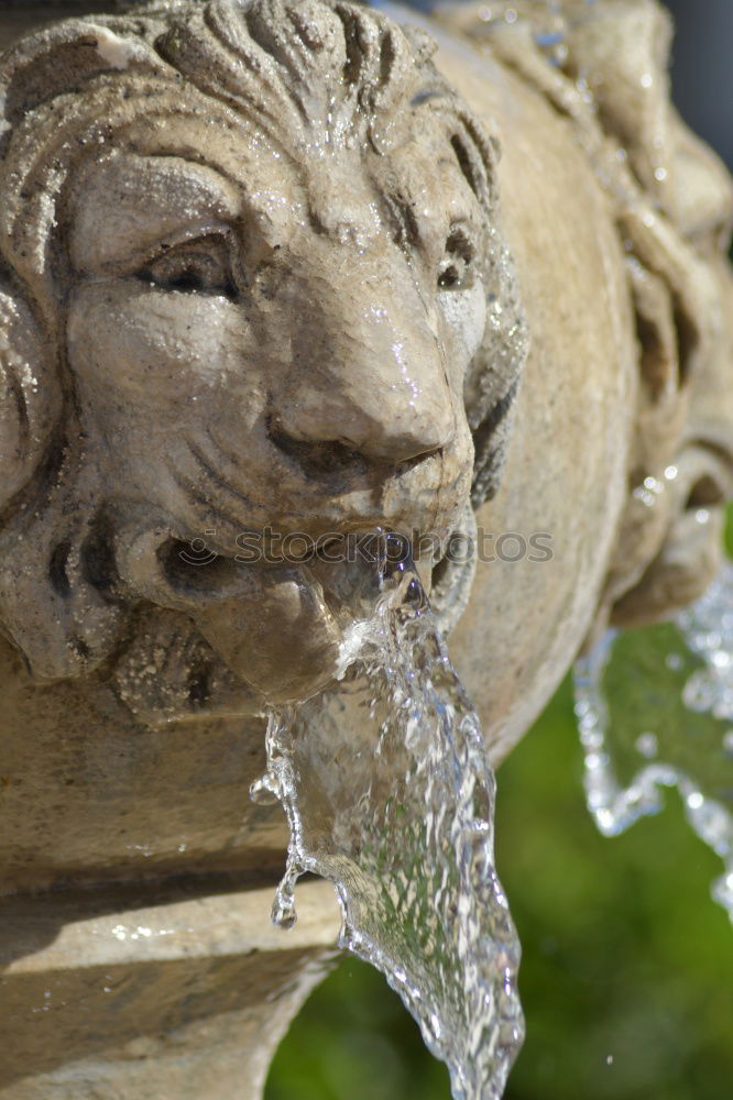 Similar – Water Gießkanne grün