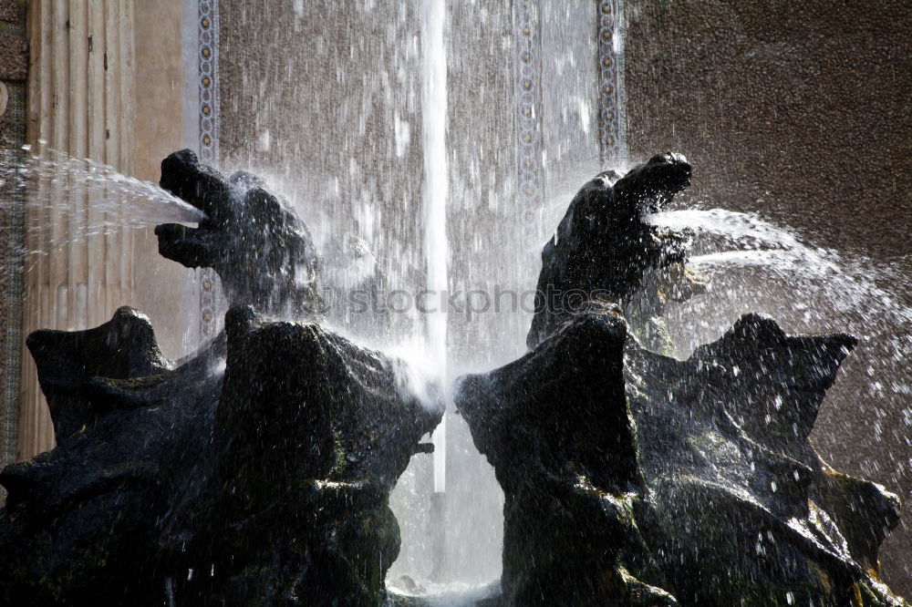 Similar – Brunnen-Springer Freude