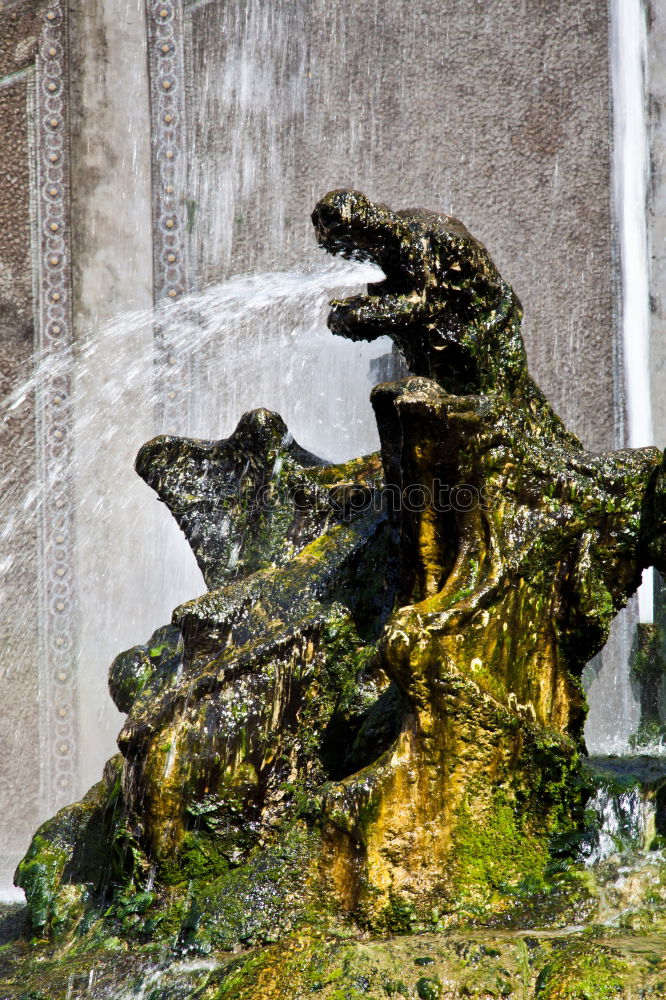 Image, Stock Photo Hyde Park Fountain