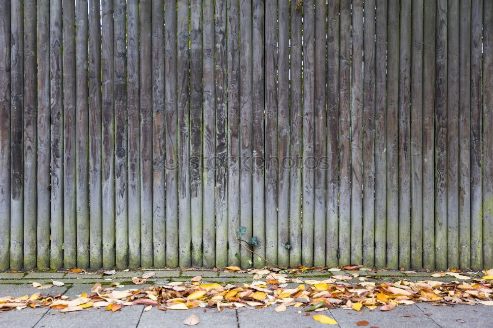 Similar – Zuversicht Erfolg Frühling