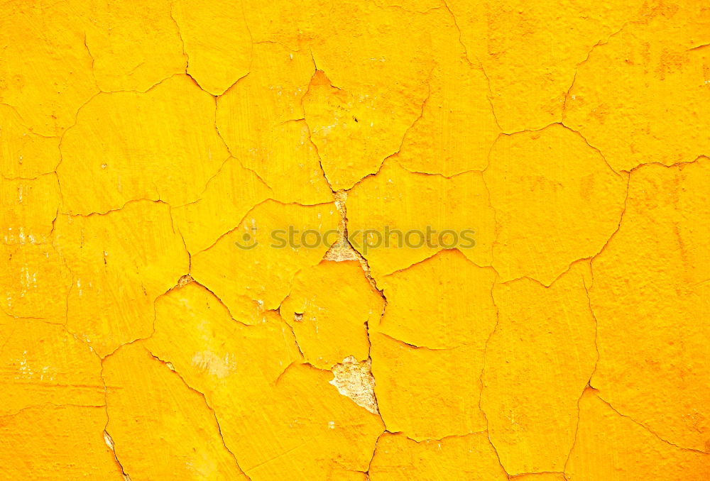 Similar – yellow in texture wall