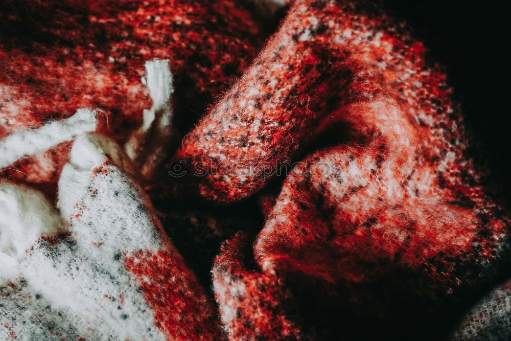 Similar – Image, Stock Photo dye works Morocco