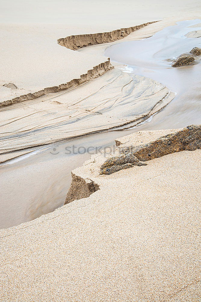 Similar – Beach walk at low tide